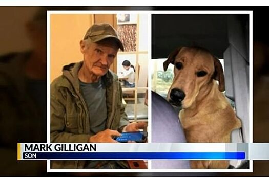 Главное за ночь: российская нефтянка договорилась по цене на топливо, в небе заработали пивные рейсы, а американца на охоте подстрелила собака