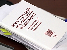 Россияне ежедневно покупают почти 100 Конституций