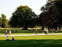 «Фонтанка»: в Петербурге неизвестный набросился с гранатой на подростков-фурри