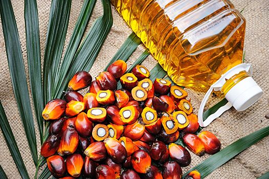 Малайзия стала лидером по поставкам пальмового масла в Индию