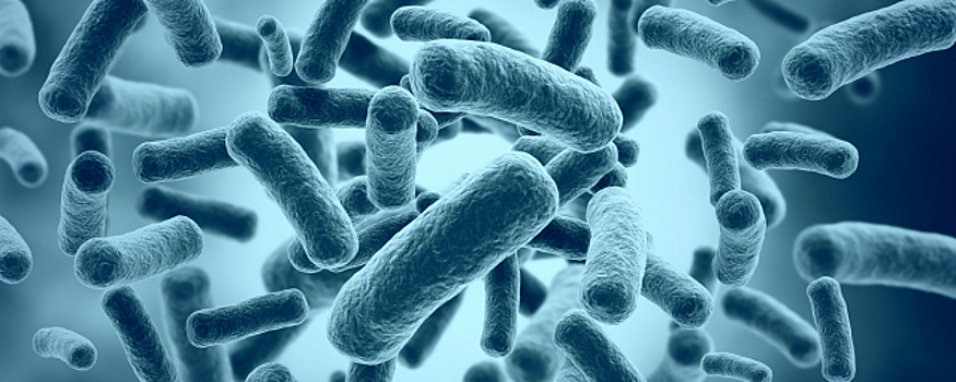 Американские ученые заставили бактерии производить антибиотик