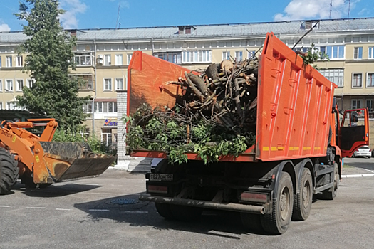 Аварийные деревья спилили около детсадов при поддержке депутата Карима Ибрагимова