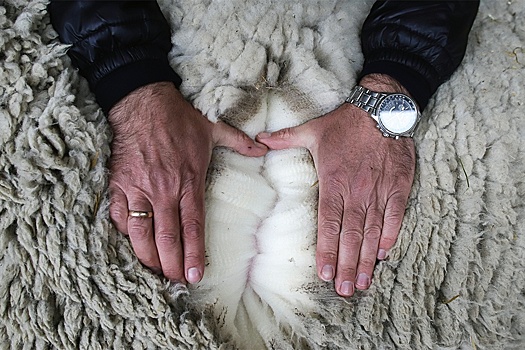 В Дагестане более 10 тысяч школьников одели в форму из местной шерсти