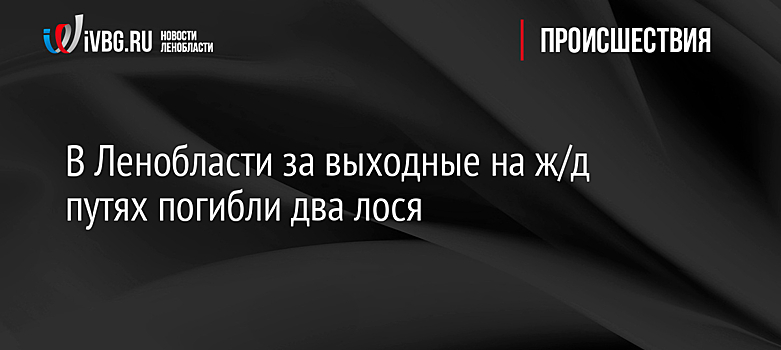 В Ленобласти за выходные на ж/д путях погибли два лося