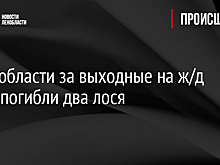 В Ленобласти за выходные на ж/д путях погибли два лося