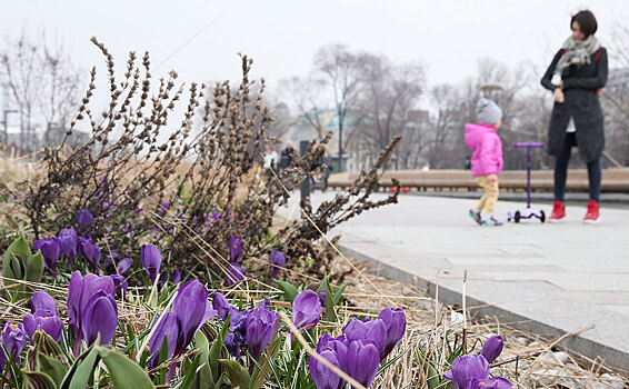 Москвичей призвали расстаться с мечтами о ранней весне