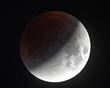 Лунное затмение. Ретроградная Венера и другие астрономические события 2020 года и их экспертная оценка