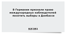 В Германии признали право международных наблюдателей посетить выборы в Донбассе