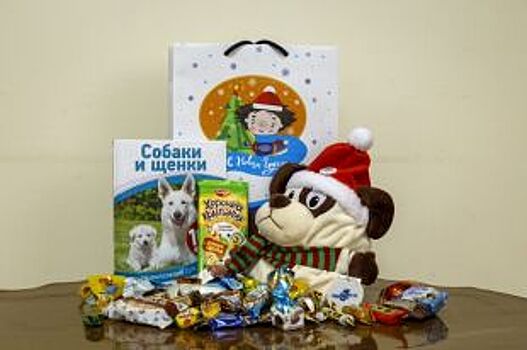 Алтай-Кокс подготовил новогодние подарки для детей из Заринска