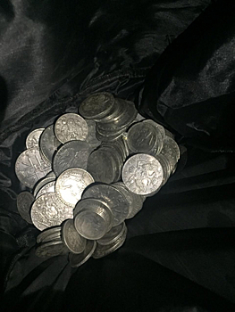 Полицейские САО задержали подозреваемых в мошенничестве с фальшивыми монетами