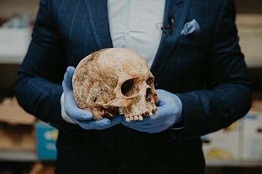 Какие болезни скосили армию Наполеона в 1812-м?