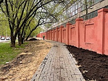 Новый тротуар построят на улице Пушкина после обращений жителей
