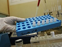 Вирусолог: штамм «омикрон» может стать живой вакциной