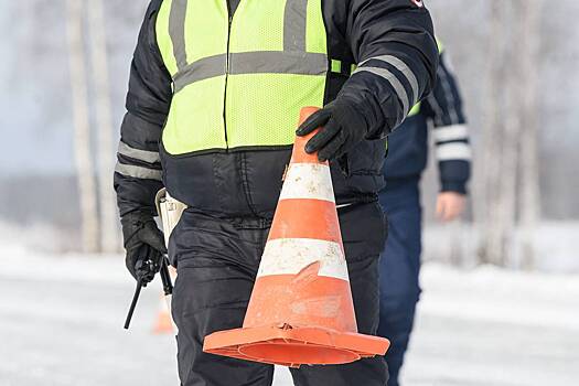 В российском регионе иномарка врезалась в пешеходов