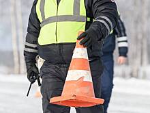 В российском регионе иномарка врезалась в пешеходов