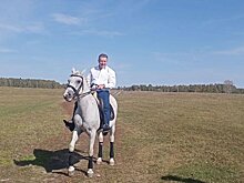 В Маслянинском районе открылся центр конного спорта и туризма