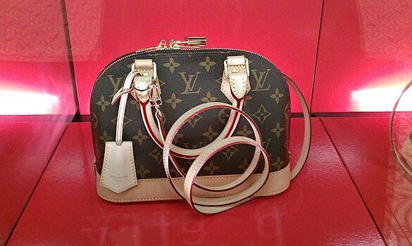 Брендовая сумочка от Louis Vuitton принесла костромичке одни несчастья