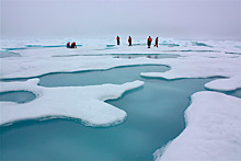 Ученые объяснили, почему тает лед возле Антарктиды