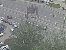 В Красноярске выбежавшего на дорогу парня сбила машина