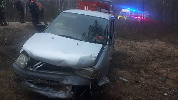 В Свободненском районе авто слетело с дороги: водитель погиб
