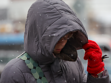 Синоптик предупредил москвичей о температурных качелях на следующей неделе
