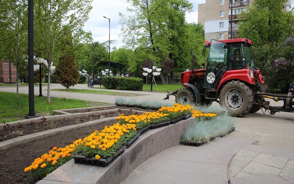 В Рязани повторно высадят цветы на уничтоженных морозом клумбах