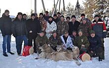 В Верхнекамском районе уничтожили стаю крупных волков
