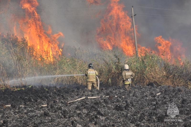 Высший уровень пожароопасности объявлен в 23 муниципалитетах Ростовской области