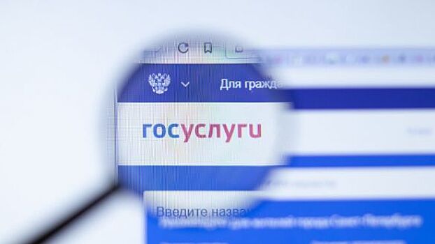 В Госдуме раскрыли смысл вручения повесток через «Госуслуги»