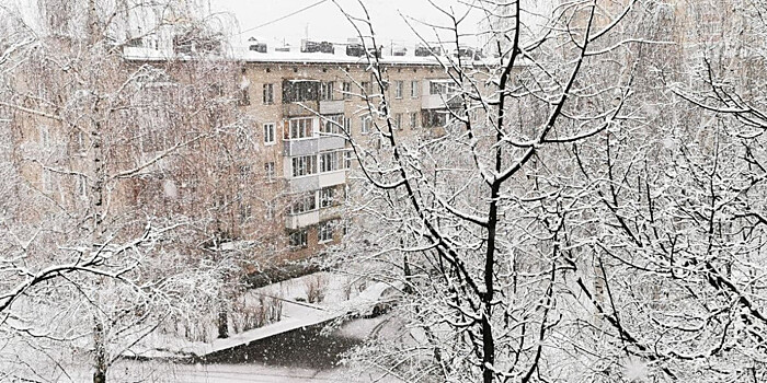Мороз и солнце: январские холода раньше времени пришли в Россию