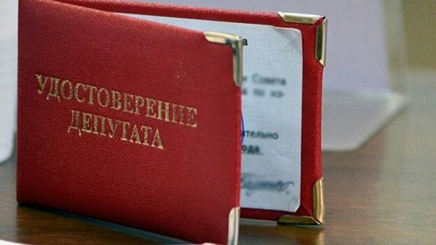 В Воронежской области двух депутатов лишили мандатов за сокрытие сведений о доходах