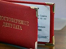 В Воронежской области двух депутатов лишили мандатов за сокрытие сведений о доходах