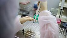 В Узбекистане зарегистрировали первый случай коронавируса