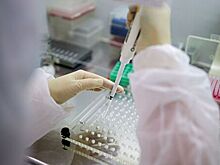 В России за сутки проведено более 410 тысяч тестов на коронавирус