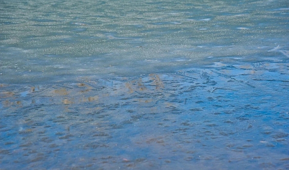 В Волгоградской области проведут работы по снятию сухогруза с мели