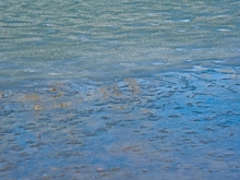 В Волгоградской области проведут работы по снятию сухогруза с мели