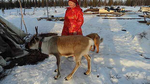 Власти Ямала рассматривают введение новых мер поддержки коренных народов