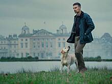 Сериал «Джентльмены», 2-й сезон: что известно о продолжении криминальной комедии от Гая Ричи