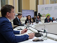 Экотехнопарк на месте бывшего предприятия в Дзержинске хотят открыть в 2025 году