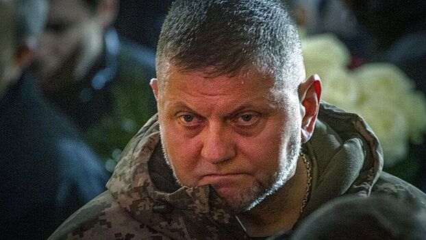 Стало известно содержание беседы Залужного с генералом Милли