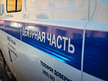 В Клину задержаны подозреваемые в обмане мужчины на 3 млн рублей под предлогом инвестирования