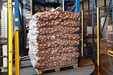 Три тысячи тонн тюменской картошки ежедневно отправляются в Узбекистан