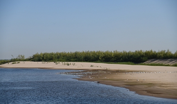 Житель Волгоградской области спас жизнь двоих детей и дедушки