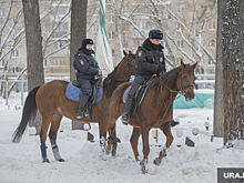 В Гагаринском парке Тюмени будет дежурить конная полиция