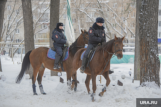 В Гагаринском парке Тюмени будет дежурить конная полиция