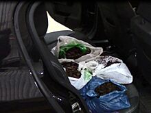 Калининградские таможенники задержали 30 килограммов янтаря