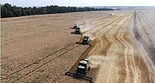 Российские фермеры готовятся собрать рекордный урожай