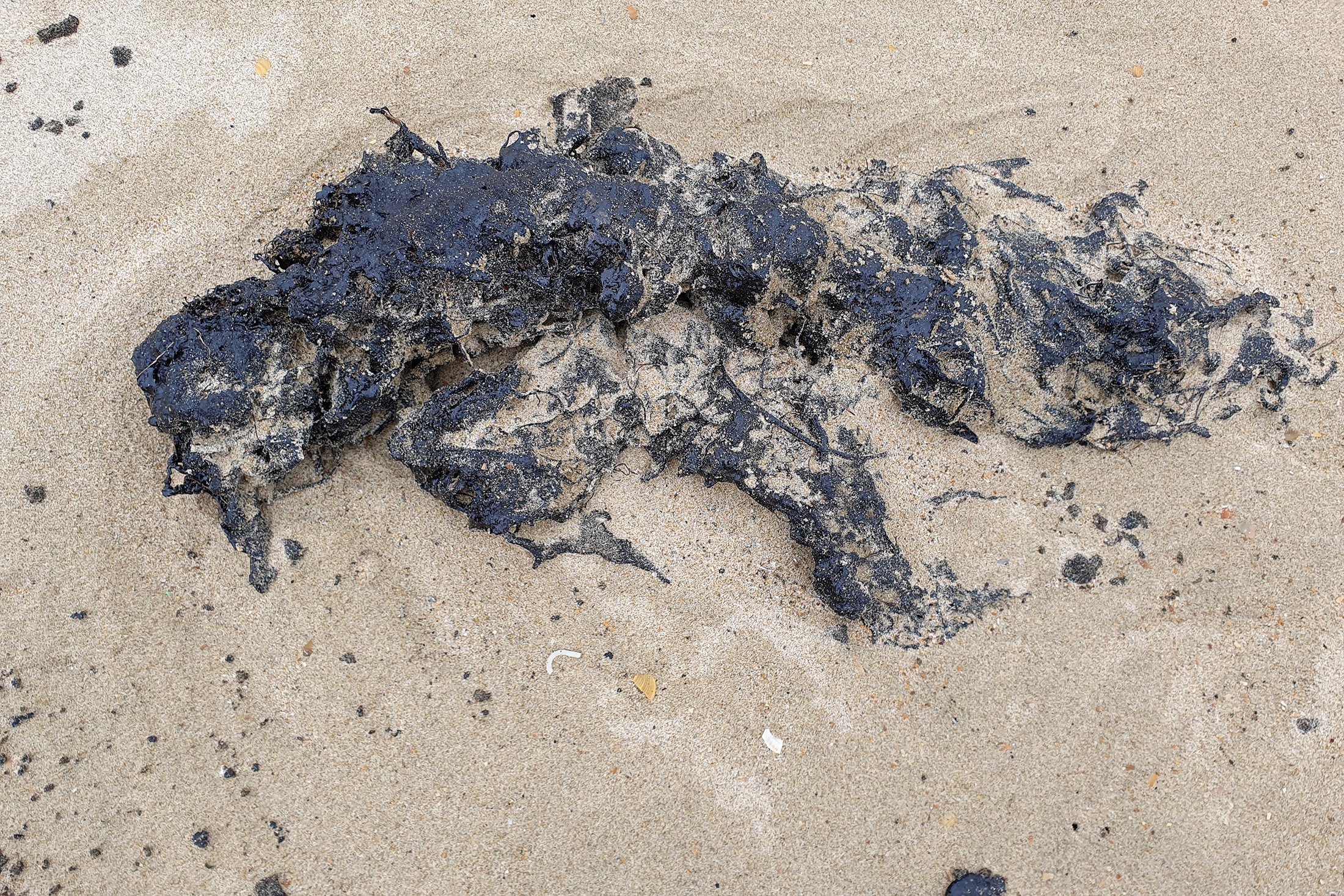 На анапские пляжи снова выбросило мазут