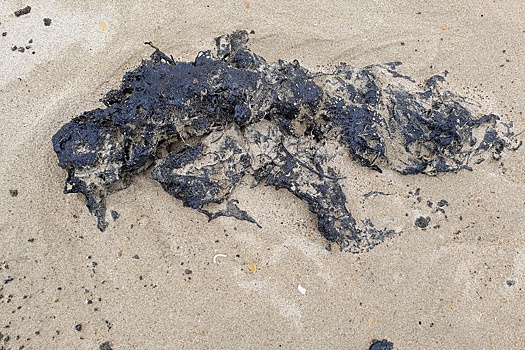 На анапские пляжи снова выбросило мазут