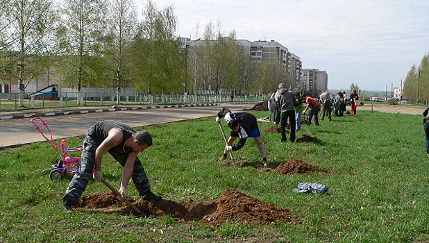 Новая ореховая аллея появилась в Московской области